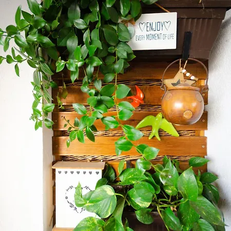 Sunset Loft Apartmán Bukurešť